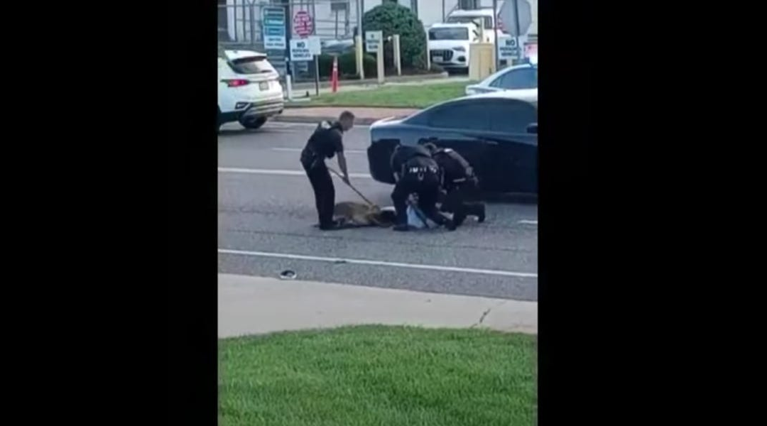 FBI Investigating Missouri Arrest Where Police Let Dog Bite Black Man