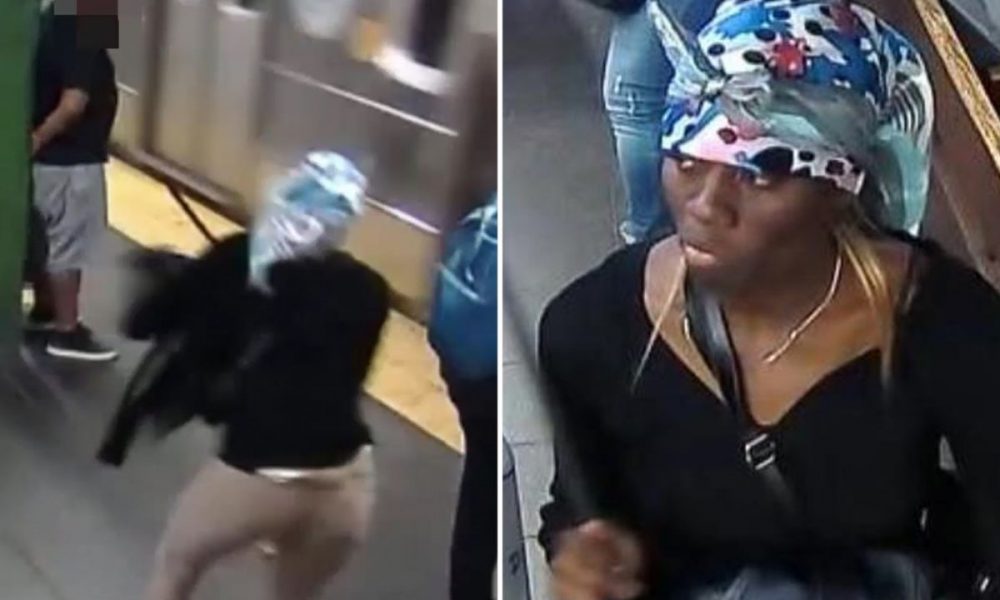 Woman Charged with Attempted Murder After Shoving Female Straphanger into Moving Train at Times Square Subway Station – Your Black World