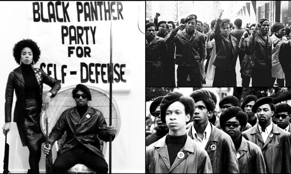 History Of The Black Panther Party: Facing Police Brutality And Advocating Social Change