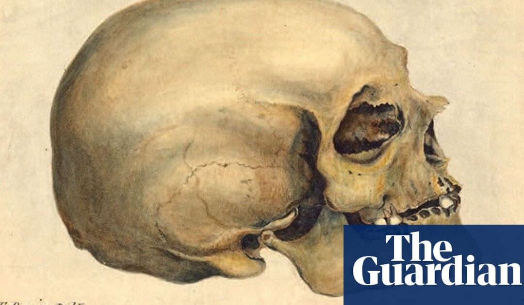 Ivy League university set to rebury skulls of Black people kept for centuries | US universities | The Guardian