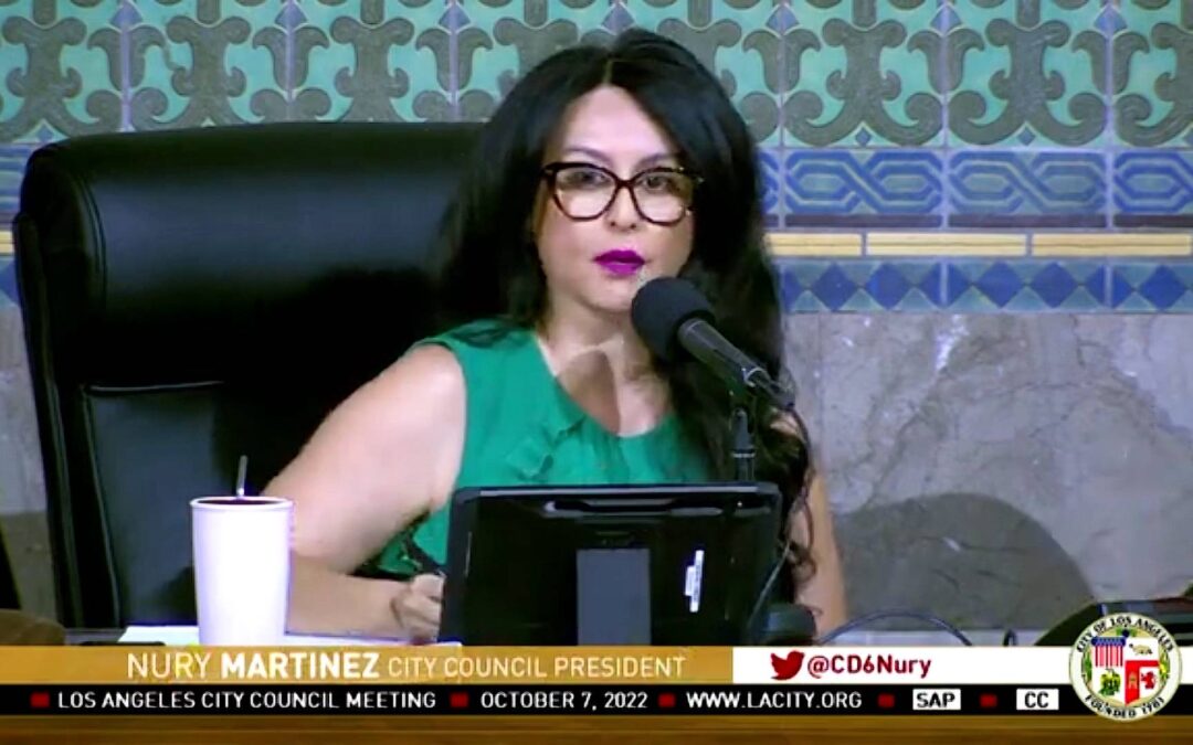 Black & Indigenous Activists Call for 3 Latinx L.A. City Councilmembers to Resign over Racist Remarks | Democracy Now!