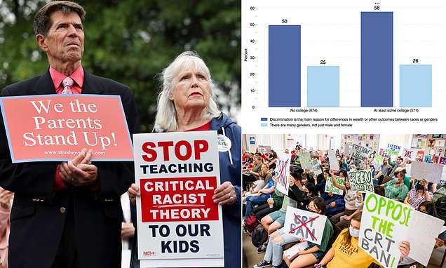 Nearly all of America's schoolkids have studied or picked up critical race theory in class: survey | Daily Mail Online