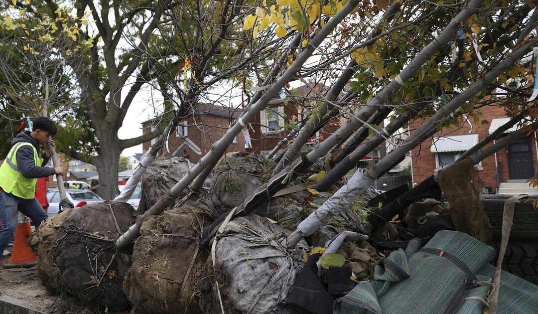 Chicago says it’s on track to plant 15,000 trees, 1st step in fixing disparities