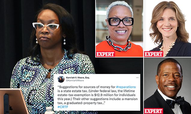 Chair of California reparations panel pushes for a wealth tax to pay descendants of slaves | Daily Mail Online