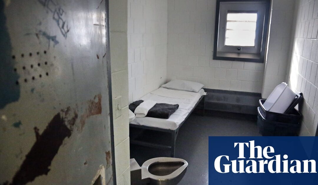 Texas prisoners continue hunger strike in protest against solitary confinement | Texas | The Guardian