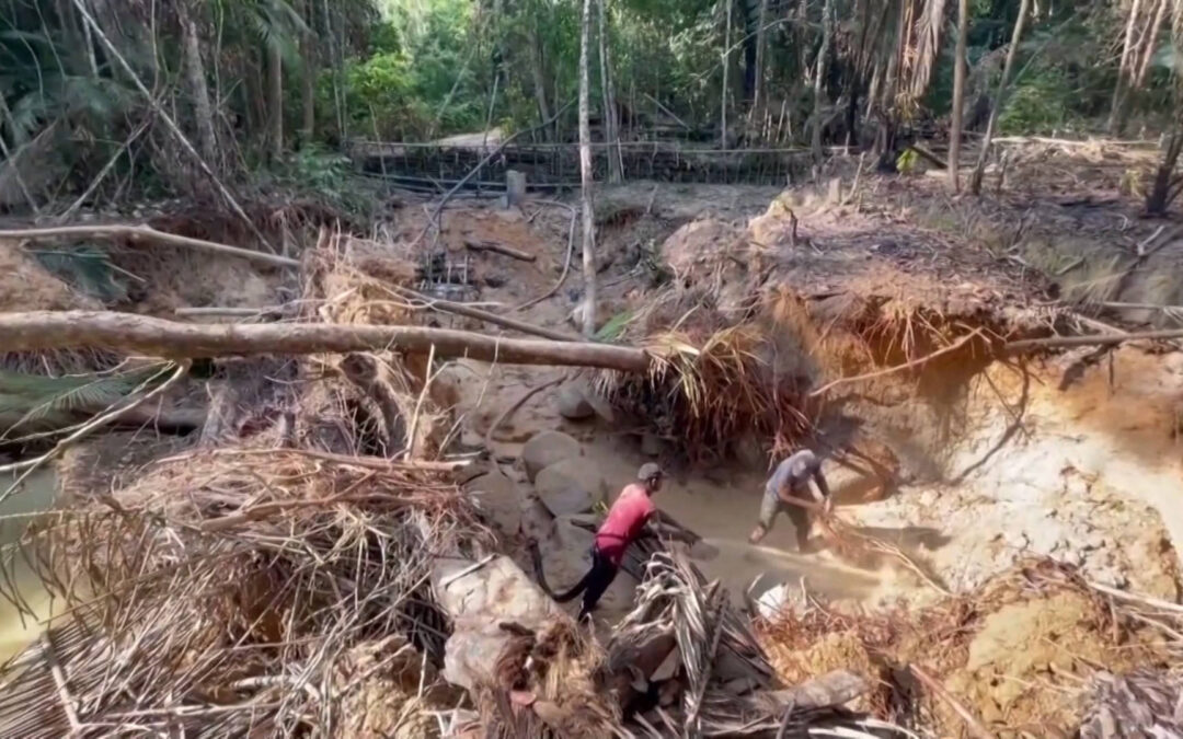 Brazilian Environmental Police Target Illegal Miners in Yanomami Territory Amid Humanitarian Crisis | Democracy Now!
