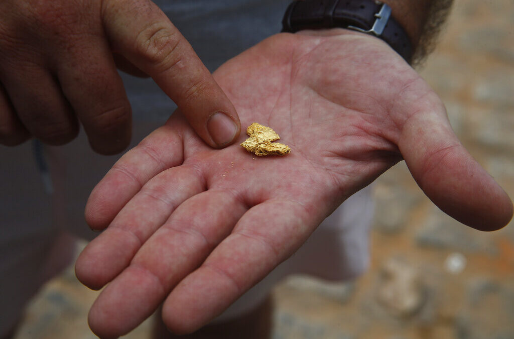 Brazilian police seize assets from illegal Amazon gold mining | Mining News | Al Jazeera