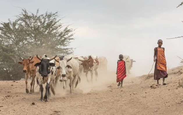 Tanzania Should Halt Plan to Relocate Maasai Pastoralists