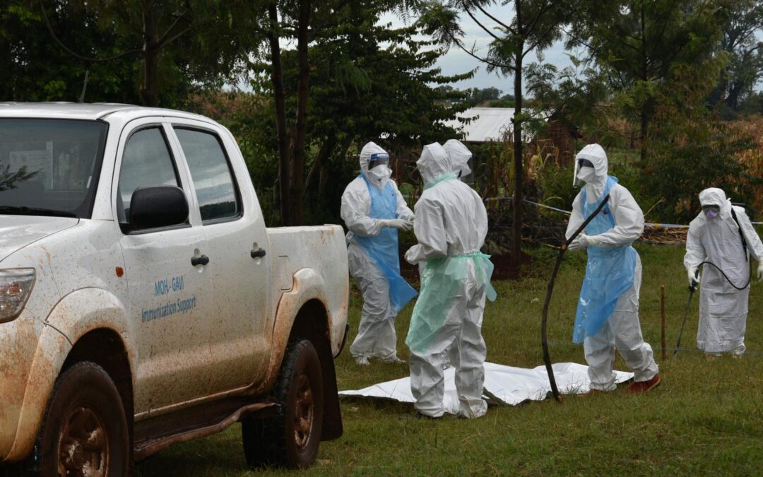 Five dead as Tanzania detects first-ever Marburg virus outbreak | Health News | Al Jazeera
