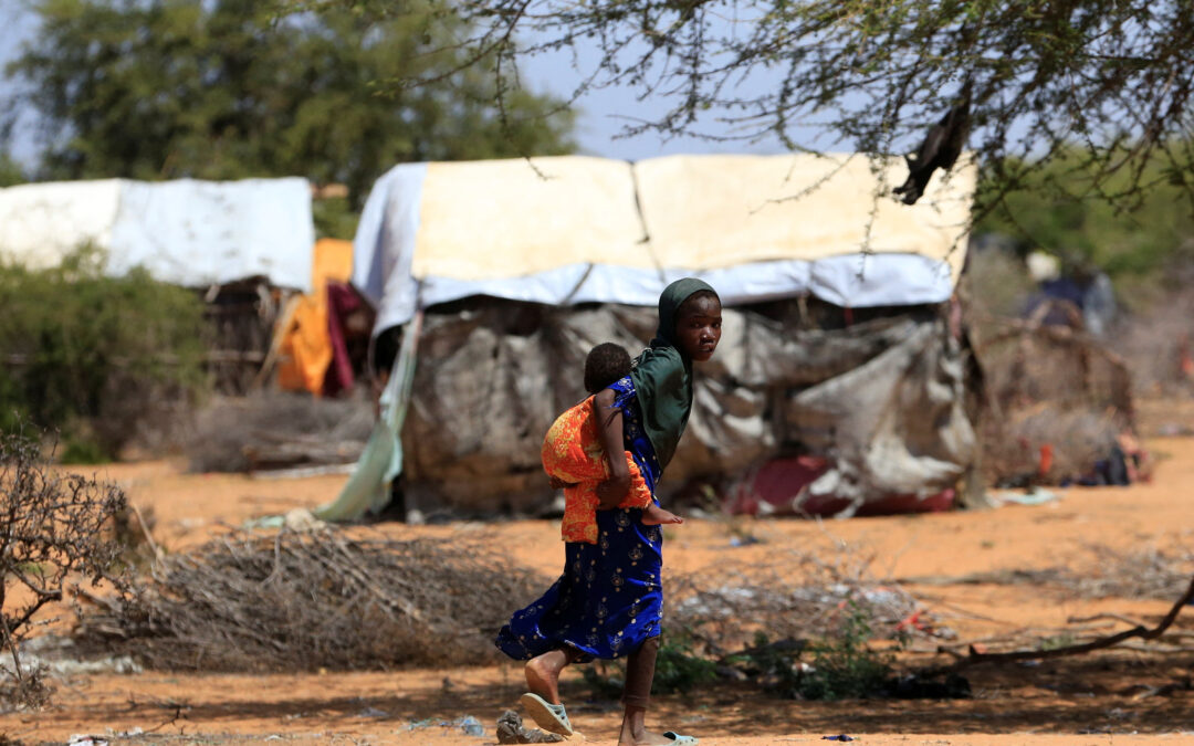 Somalia drought may have killed 43,000 in 2022, half under 5: UN | Humanitarian Crises News | Al Jazeera
