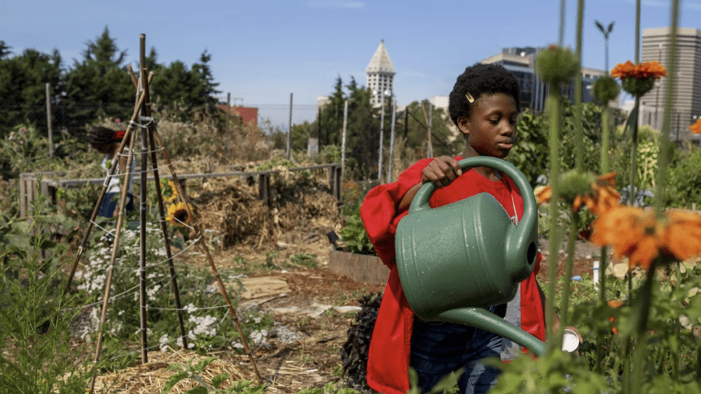 Seattle's Black Farmers Collective is revolutionizing community-based farming. From tackling food insecurity to empowering Black entrepreneurs, this initiative is sowing seeds of change.