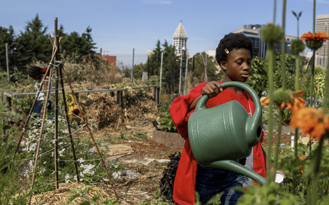 Empowering Seattle’s Black Community Through Sustainable Farming: A Look at the Black Farmers Collective