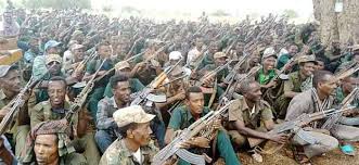 Conflict in Northern Ethiopia intensifies with rising ethnic tensions. Calls for dialogue and action grow amidst fears of national disintegration.