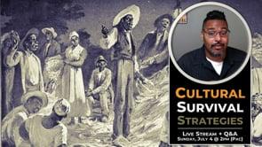 Life in the Slaveholding South: Cultural Survival Strategies + Q&A