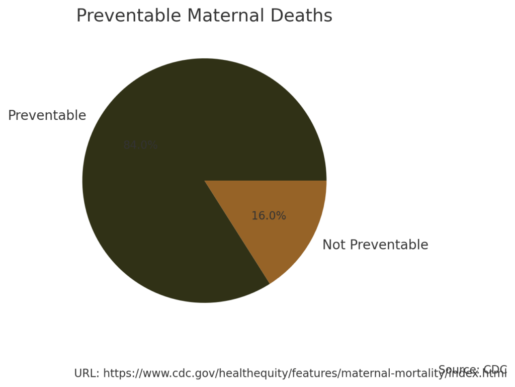 Pie chart showing that 84% of maternal deaths are preventable, with the majority portion in dark olive green and a smaller segment in bronze representing the 16% of deaths that are not preventable.
