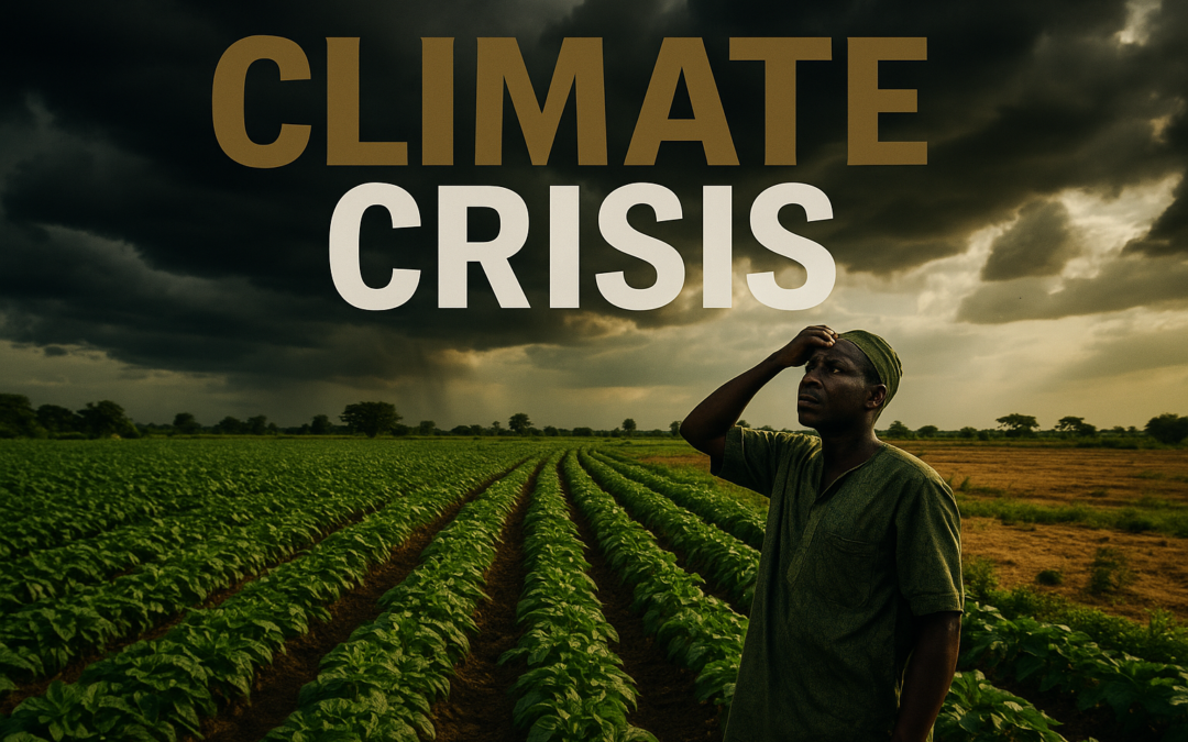 Nigeria Farms Battle Harsh Climate Crisis