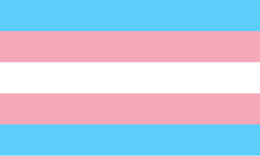 Transgender Flag Icon