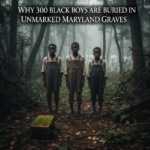 African Elements Daily