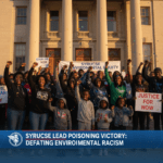 African Elements Daily