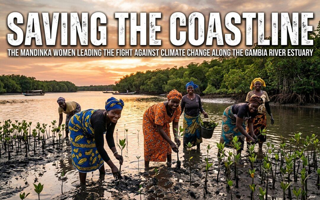 How Gambian Women Are Saving Their Coastline