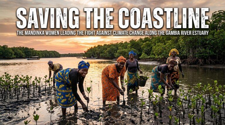 How Gambian Women Are Saving Their Coastline
