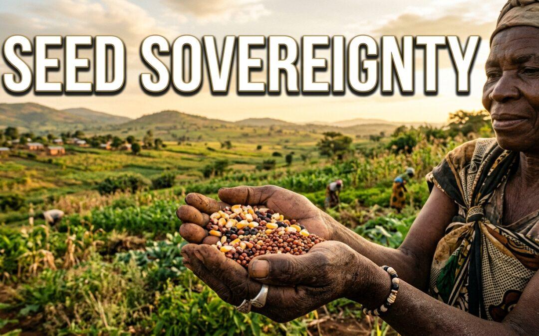 Why African Farmers Are Fighting Corporate Seed Laws