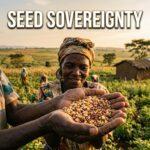 African Elements Daily